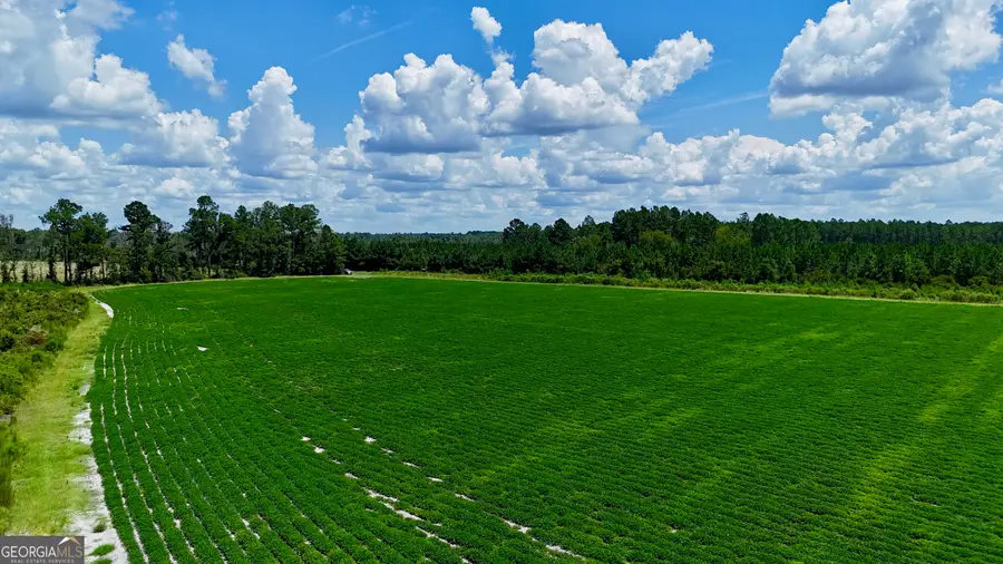 0 Highway 32, Alma, GA 31510 - #2