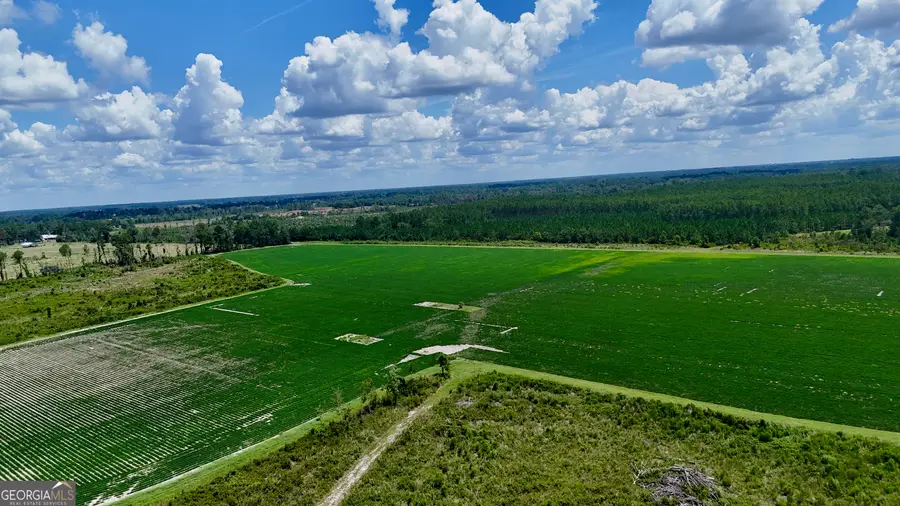 0 Highway 32, Alma, GA 31510 - #3