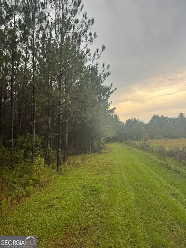 1351 Rogers Road, GLENNVILLE, GA 30427