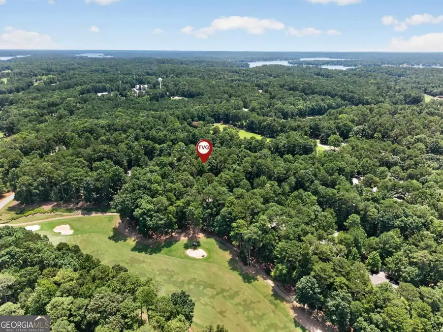 1091 Lockets Trail, Greensboro, GA 30642 - #3