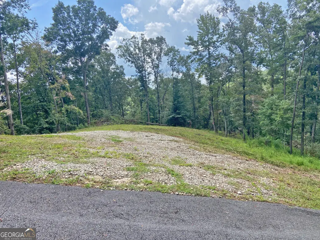 3.3AC Trillium Trail, Dahlonega, GA 30533 - #1