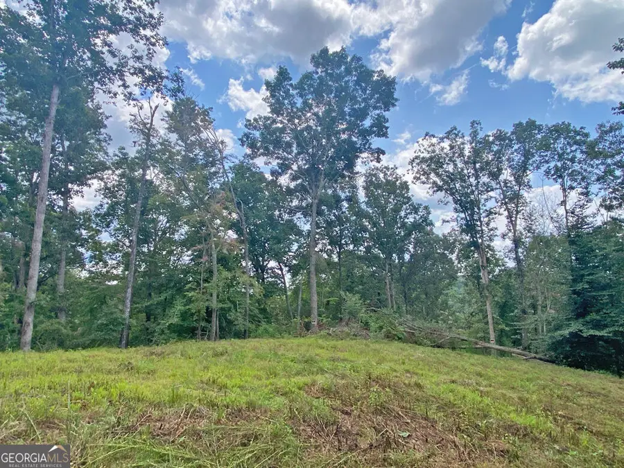 3.3AC Trillium Trail, Dahlonega, GA 30533 - #3