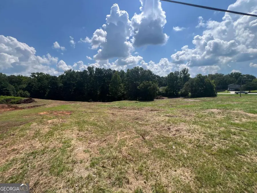 6997 N Baggett Road, Douglasville, GA 30134 - #3