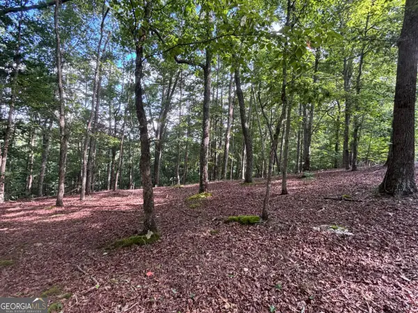 LOT 5 Westwood Avenue #5, Blairsville, GA 30512