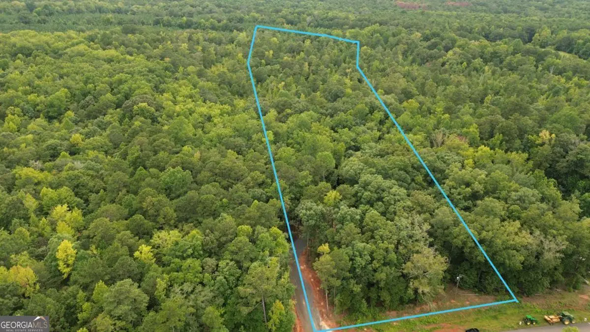 0 Roosevelt Hwy #2, Warm Springs, GA 31830 - #1