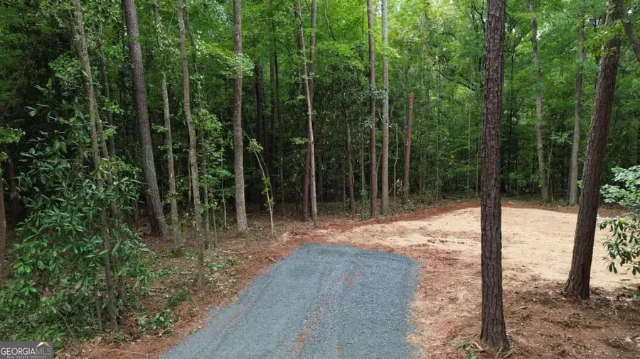 0 Roosevelt Hwy #2, Warm Springs, GA 31830 - #3
