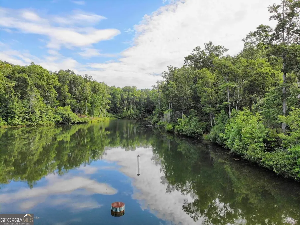 469 Pippin Circle, Clarkesville, GA 30523 - #1