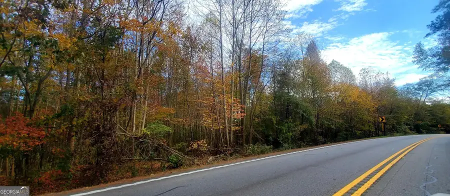 LOT 5 Vaughn Road, Newnan, GA 30265 - #3
