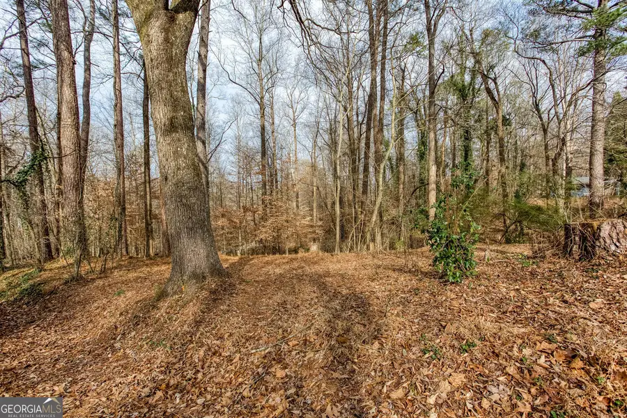 111 Maple, Roswell, GA 30075 - #2