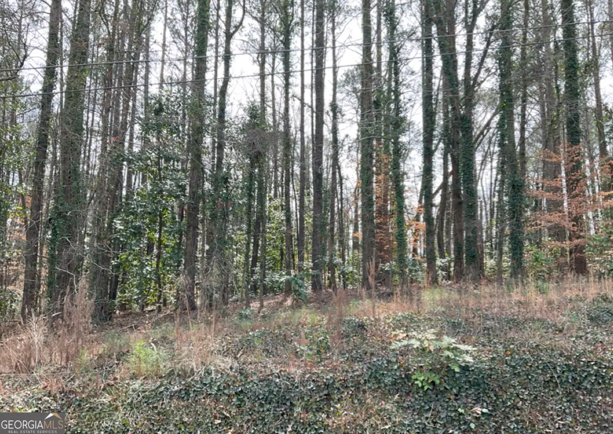 0 Head Avenue, Tallapoosa, GA 30176 - #1