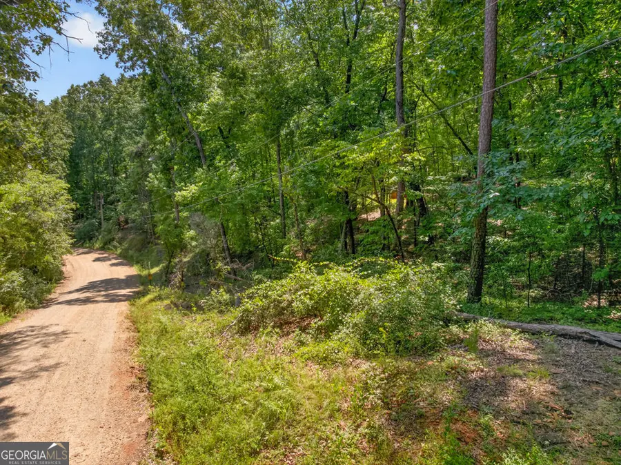 0 Waters Edge Drive, Clarkesville, GA 30523 - #3