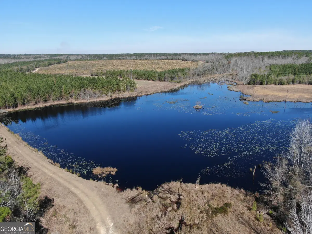 0 Airport Road, Helena, GA 31037 - #1