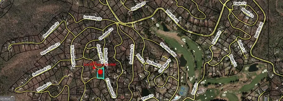 0 LOT 29 Buttermilk Circle, Sky Valley, GA 30537 - #2