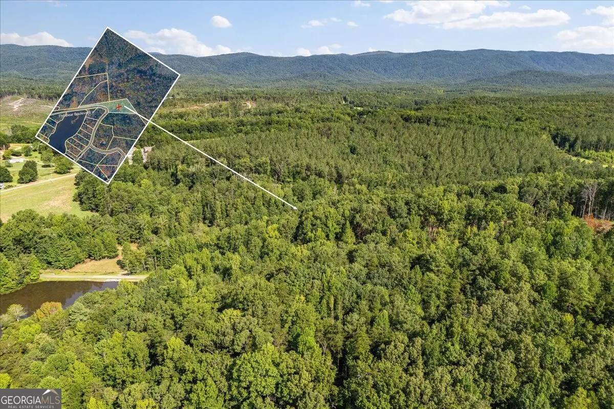 LOT 1 & 2 The Bear Boulevard, Tamassee, SC 29696 - #1