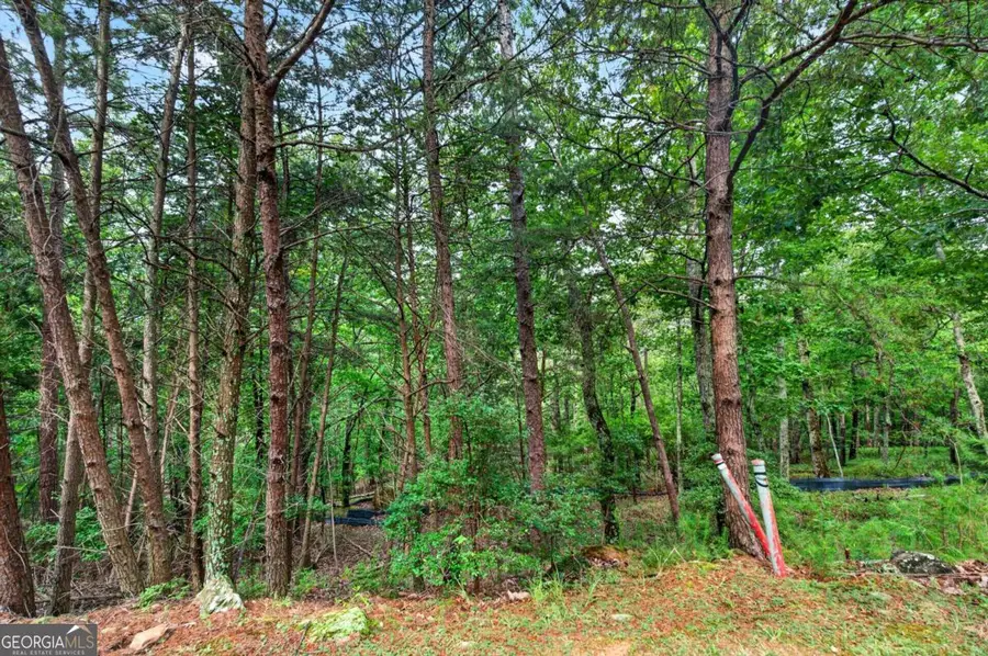 16 Ridgewater Drive Se, Cartersville, GA 30121 - #3