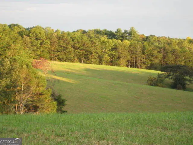 305 Laurel Springs/opossum, Long Creek, SC 29664 - #2