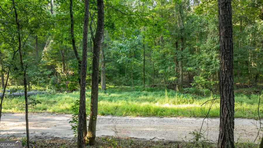 0 Allgood Road #12.59+/- ACRES, Newnan, GA 30263 - #3