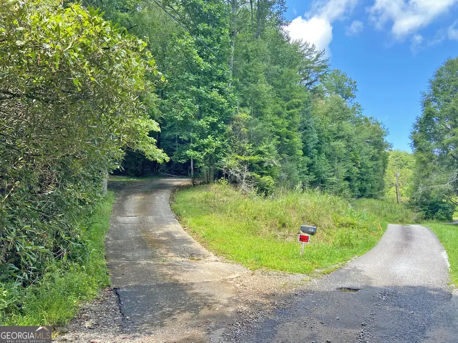 10.59AC T S Jarrard Road, Dahlonega, GA 30533 - #3