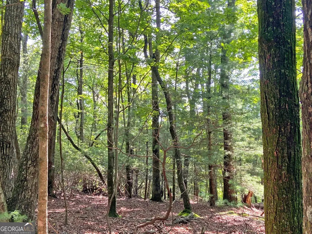 11AC T S Jarrard Road, Dahlonega, GA 30533 - #1