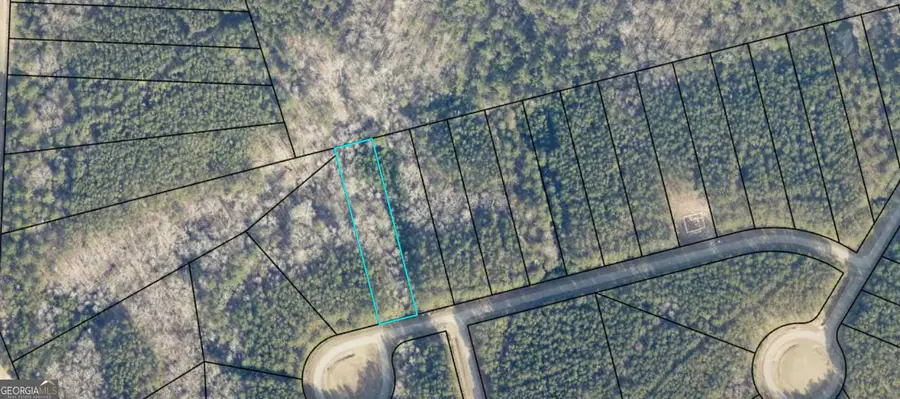 1117 Watersedge Cove, Tignall, GA 30668 - #2