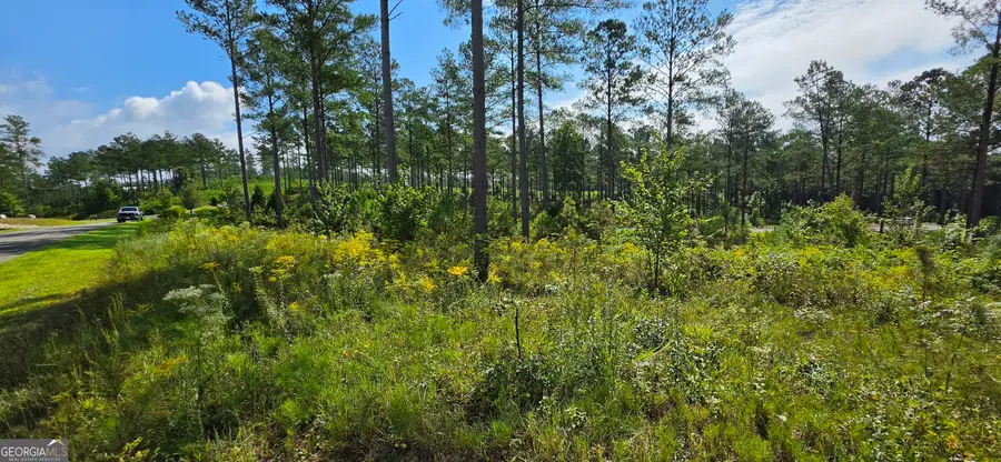 LOT 65 High River Landing, Ellijay, GA 30540 - #2