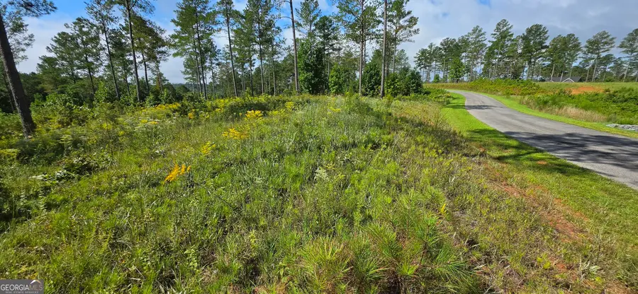LOT 65 High River Landing, Ellijay, GA 30540 - #3