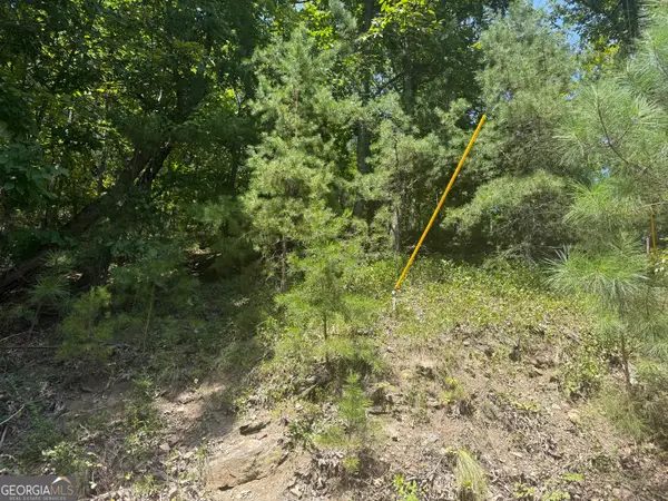 347 Meteor Court Ne, Ranger, GA 30734