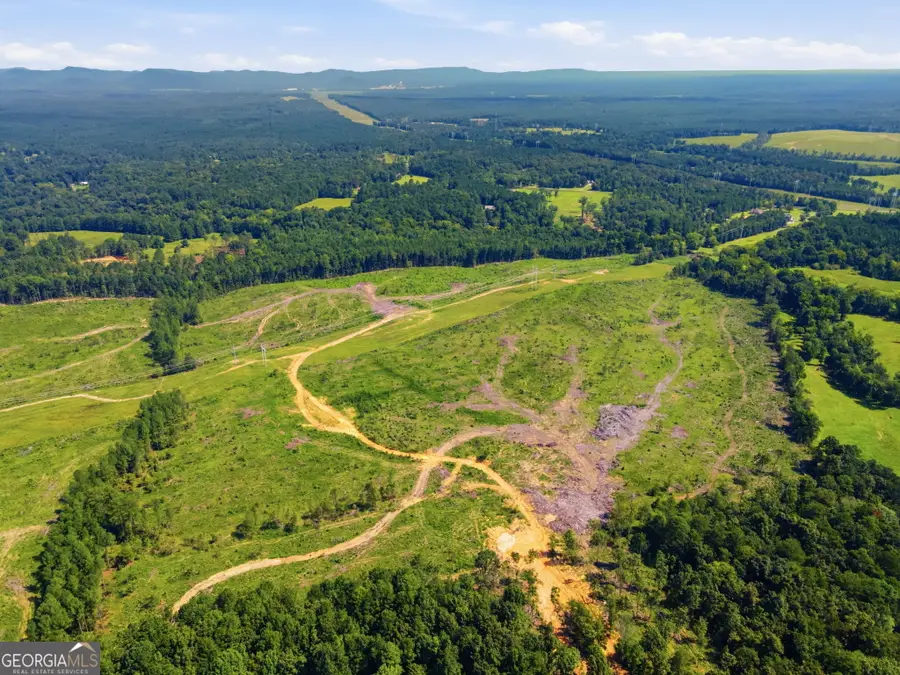 0 Blacks Bluff Road, Cave Spring, GA 30124 - #3