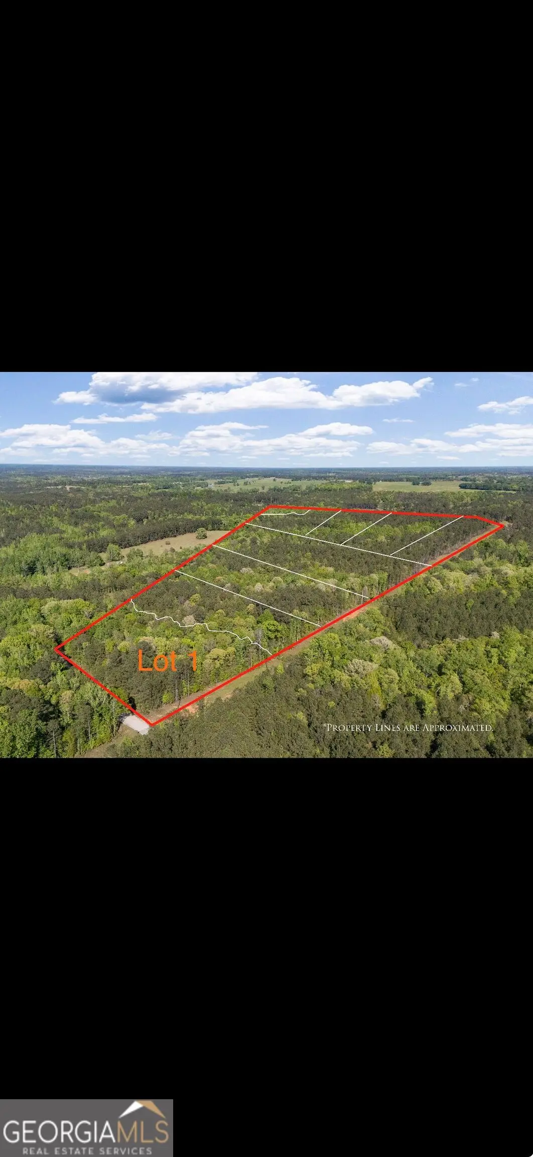 4509 Sr 18 Highway, West Point, GA 31833 - #1