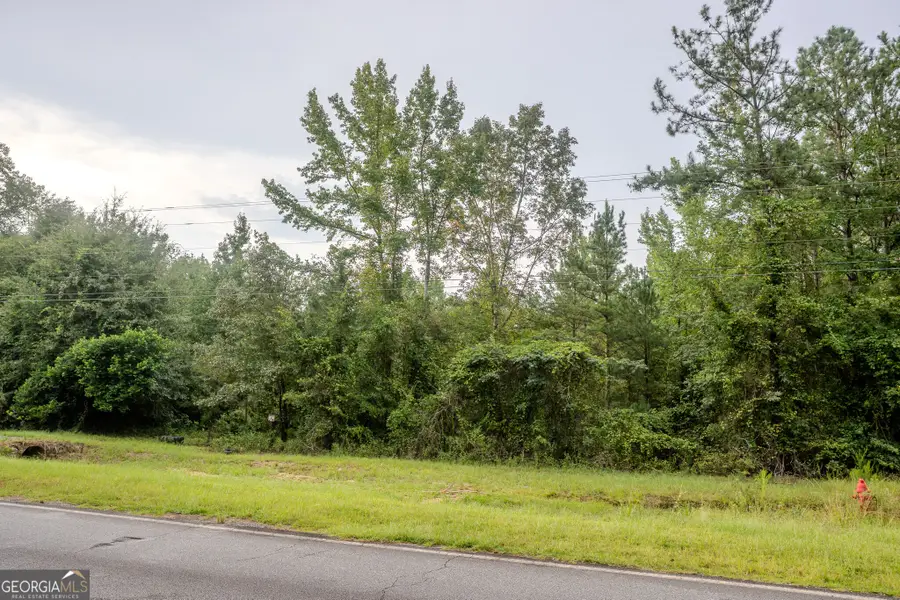 3825 Masseyville Road, Macon, GA 31217 - #2