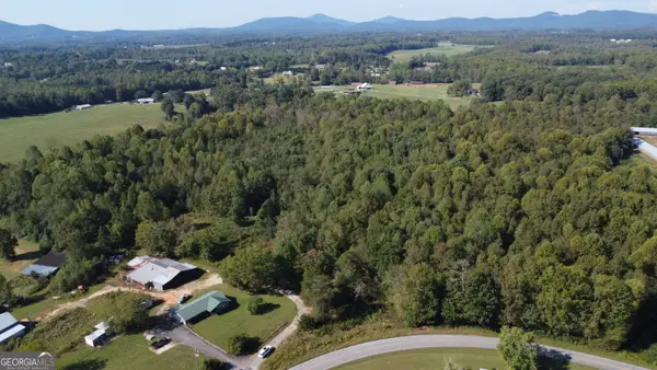 0 Holiness Campground Road, Cleveland, GA 30528