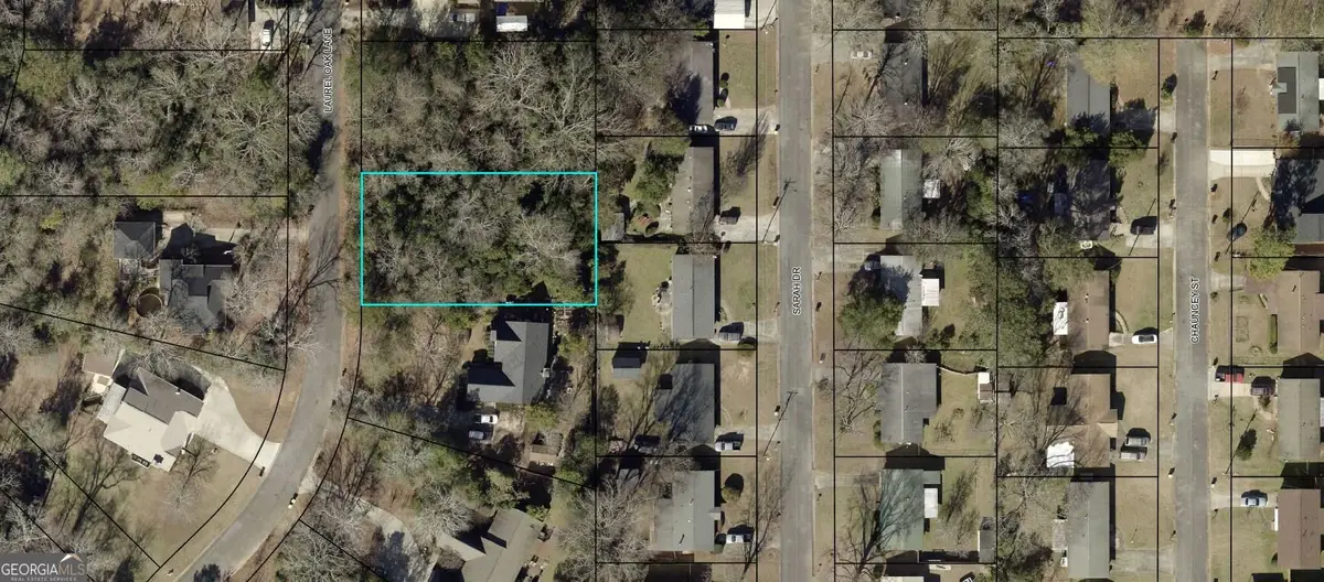 110 Laurel Oak Lane, Warner Robins, GA 31093 - #1