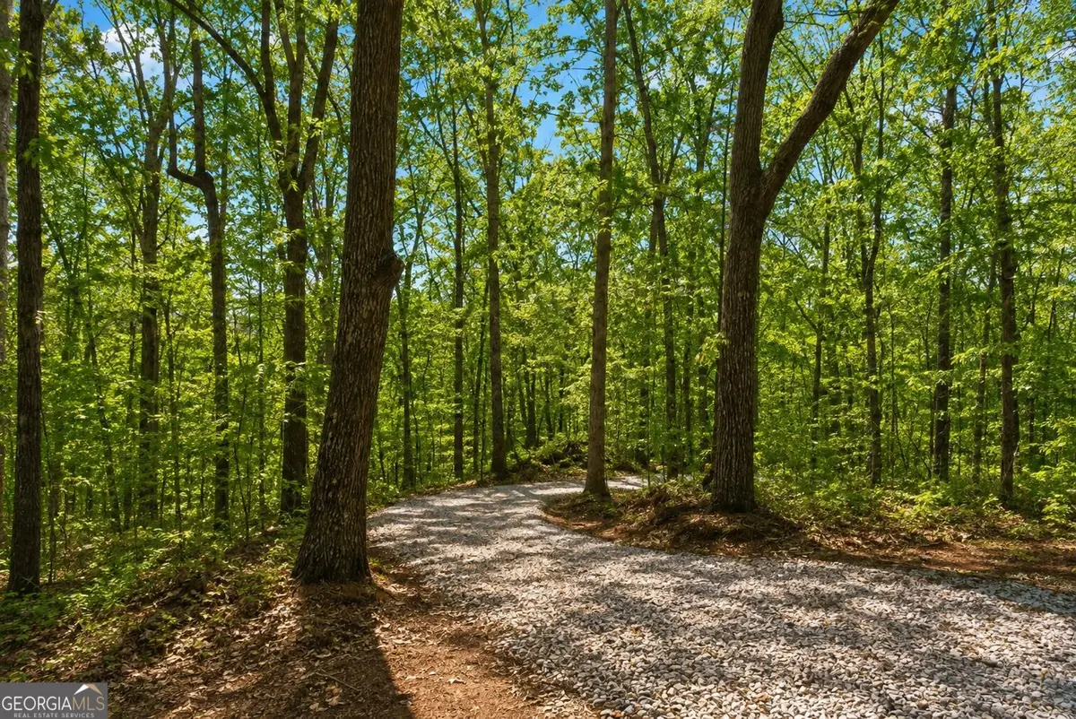 0 Davis Road, Eastanollee, GA 30538 - #1