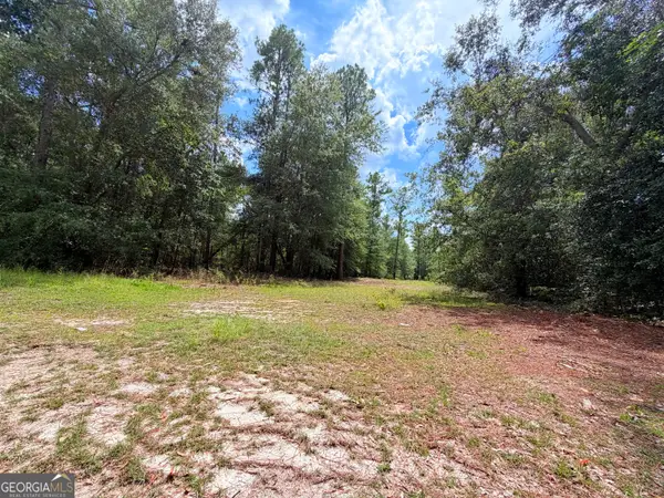 0 Lakeview Drive, Alamo, GA 30411