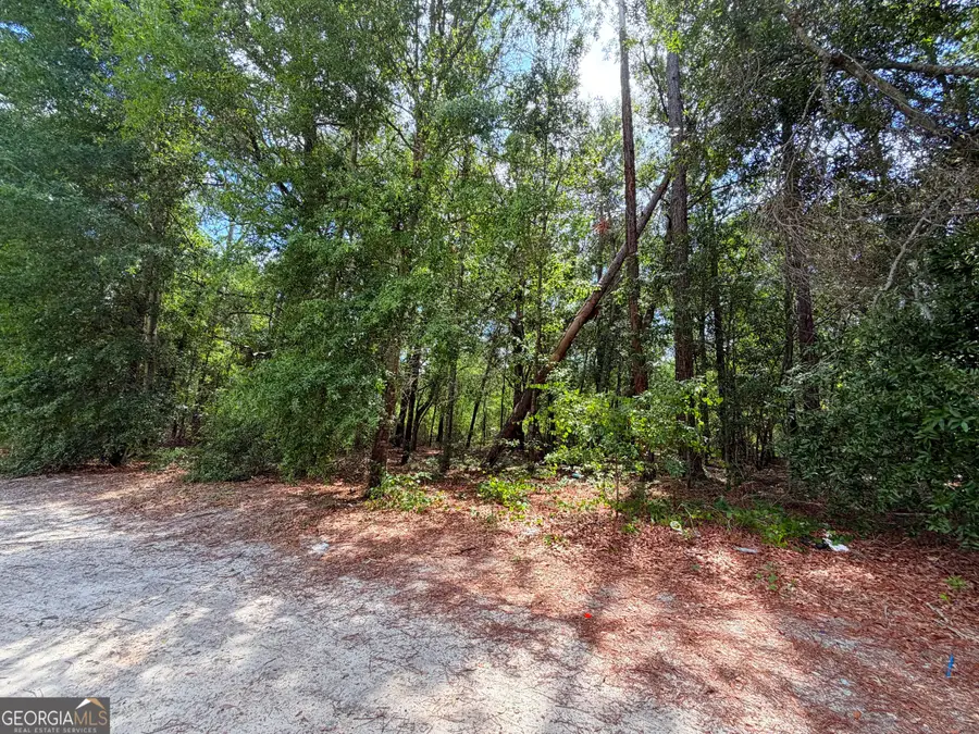 0 Lakeview Drive, Alamo, GA 30411 - #2