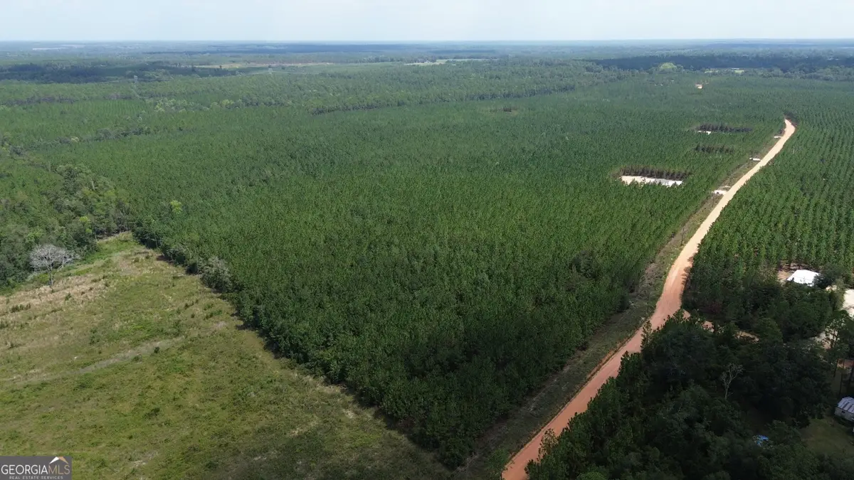 TRACT 1 Penny Morris Road, Baxley, GA 31513 - #1