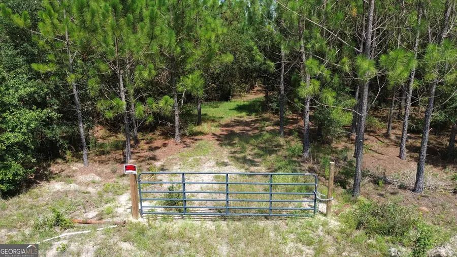 TRACT 1 Penny Morris Road, Baxley, GA 31513 - #3
