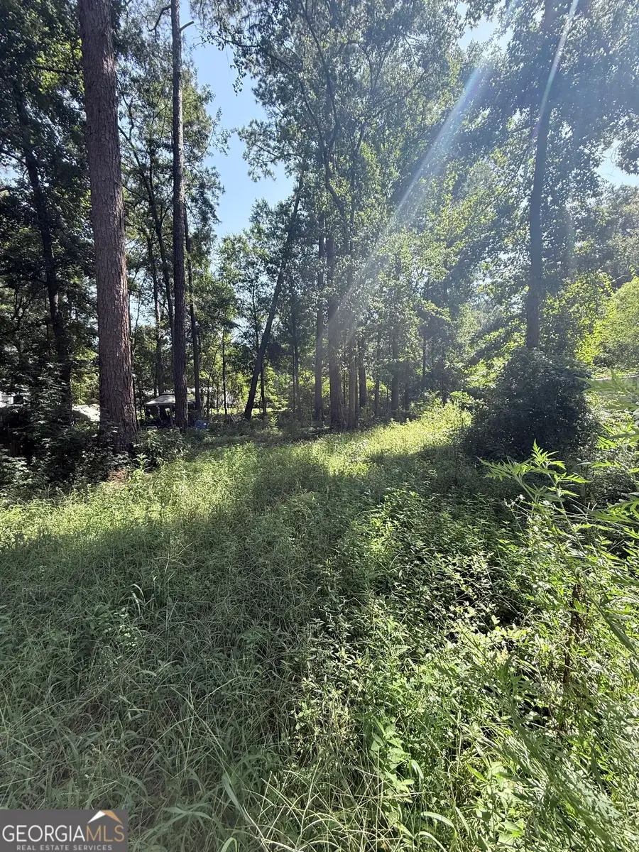 409 Dogwood Lane, Midway, GA 31320 - #2
