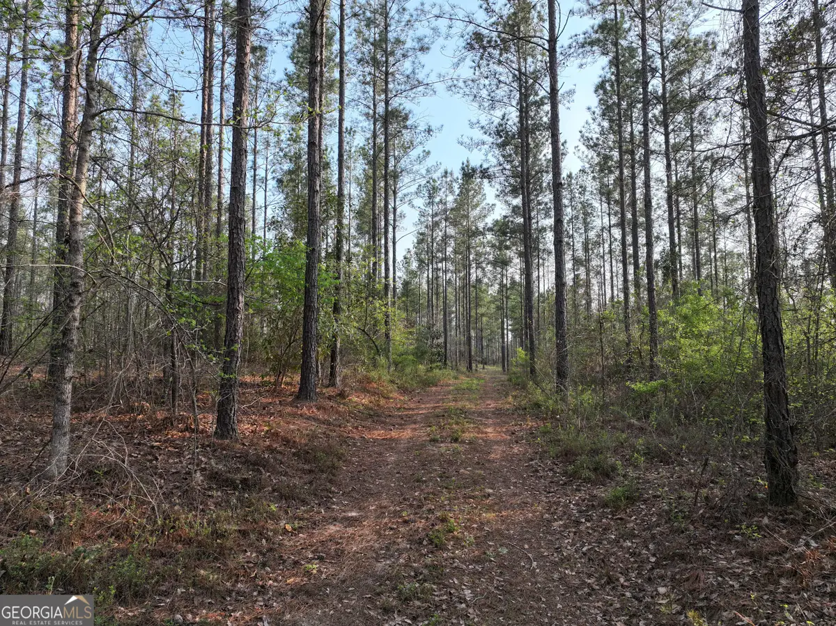 195 County Line Road, Lumpkin, GA 31815 - #1