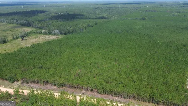 TRACT 2 Penny Morris Road, Baxley, GA 31513