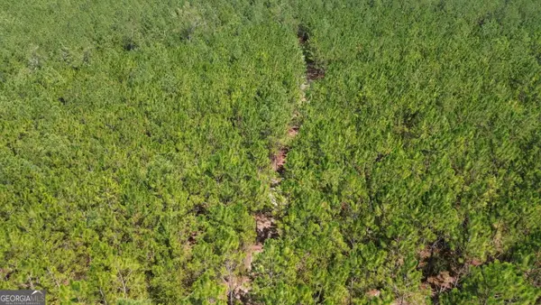 TRACT 3 Penny Morris Road, Baxley, GA 31513