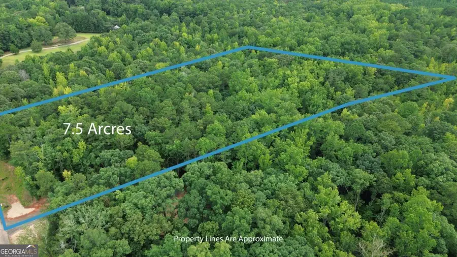 0 Roosevelt Hwy - Lot 1, Warm Springs, GA 31830 - #3