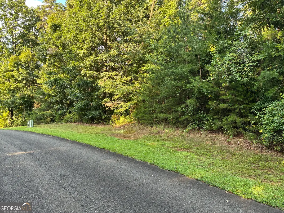 0 Town Creek Road, Talking Rock, GA 30175 - #1