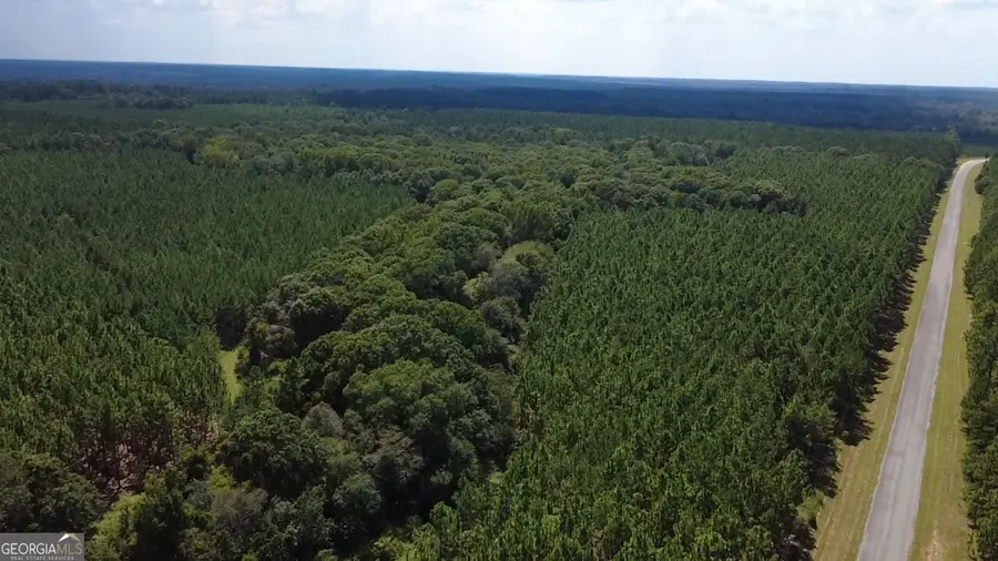 0 Barentine Rd, Rochelle, GA 31079 - #3