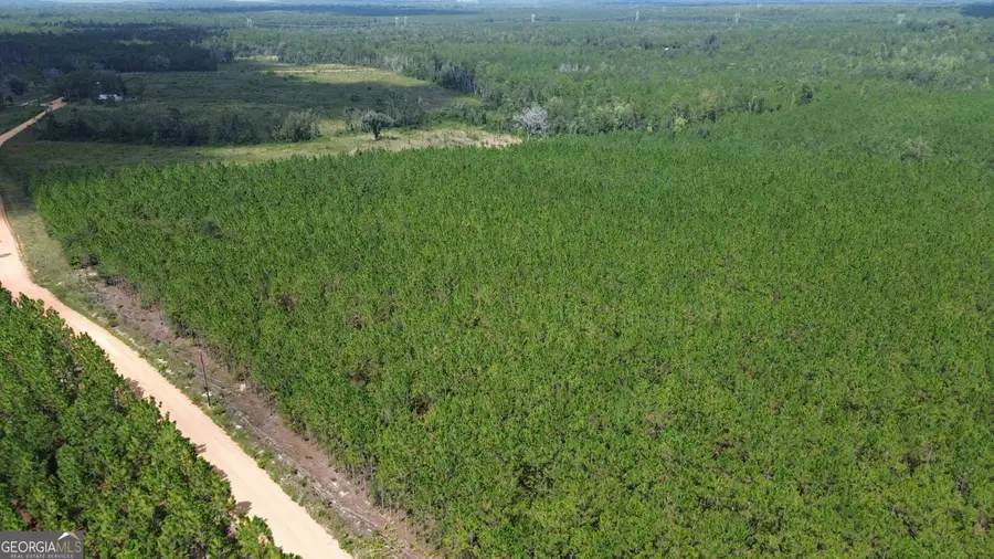 TRACT 5 Penny Morris Road, Baxley, GA 31513 - #2