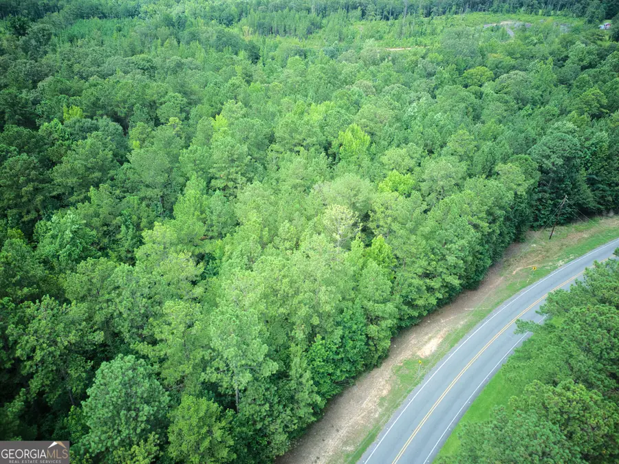 0 PARCEL 200 Judge Brown Road, Valley, AL 36854 - #2