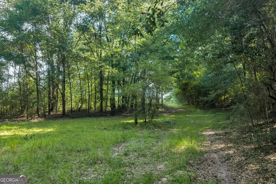 0 Airport Rd, Hawkinsville, GA 31036 - #3