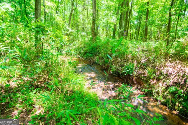 0 White Road, Pine Mountain, GA 31822