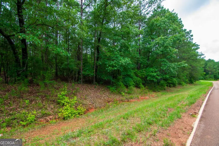 0 White Road, Pine Mountain, GA 31822 - #2