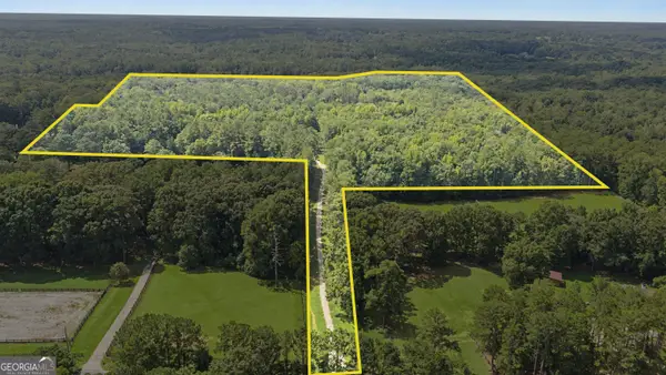 38.682 ACRES Btwn 446 & 478 Rising Star Road, Brooks, GA 30205